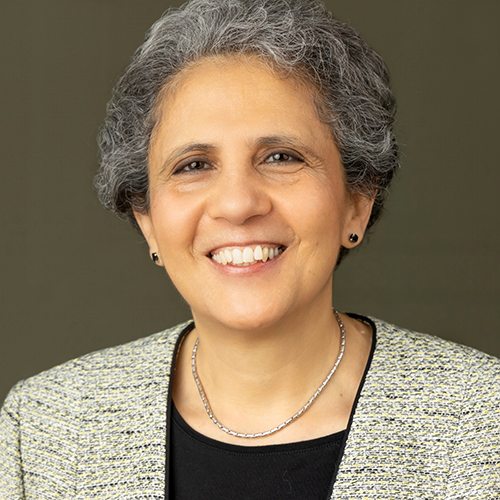 Gehane Y. Shehata Headshot